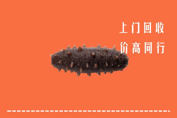 营口高价回收海参