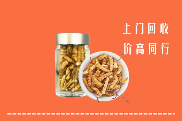 营口回收冬虫夏草